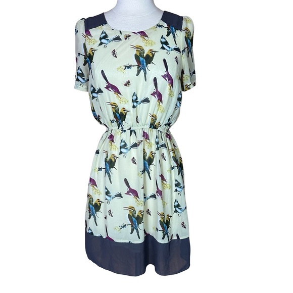 Angel Eye Whimsical Bird Colorblock Scoop Neck Short Sleeve Lined Mini Dress M - Picture 2 of 8